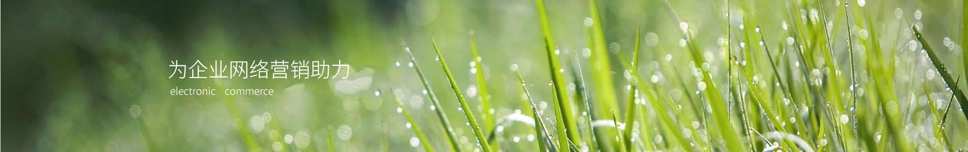 ǴݿƼݣ޹˾